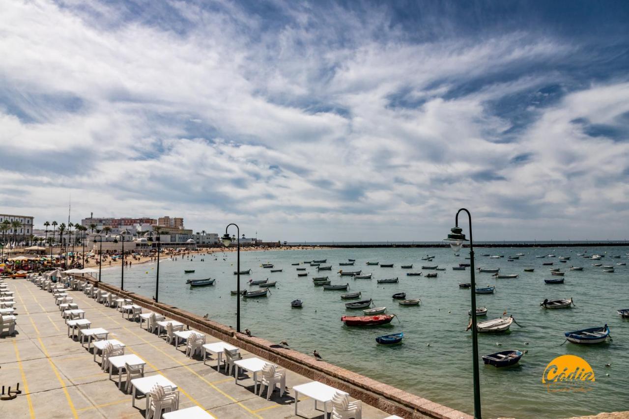 La Luz De La Vina - Free Parking By Time