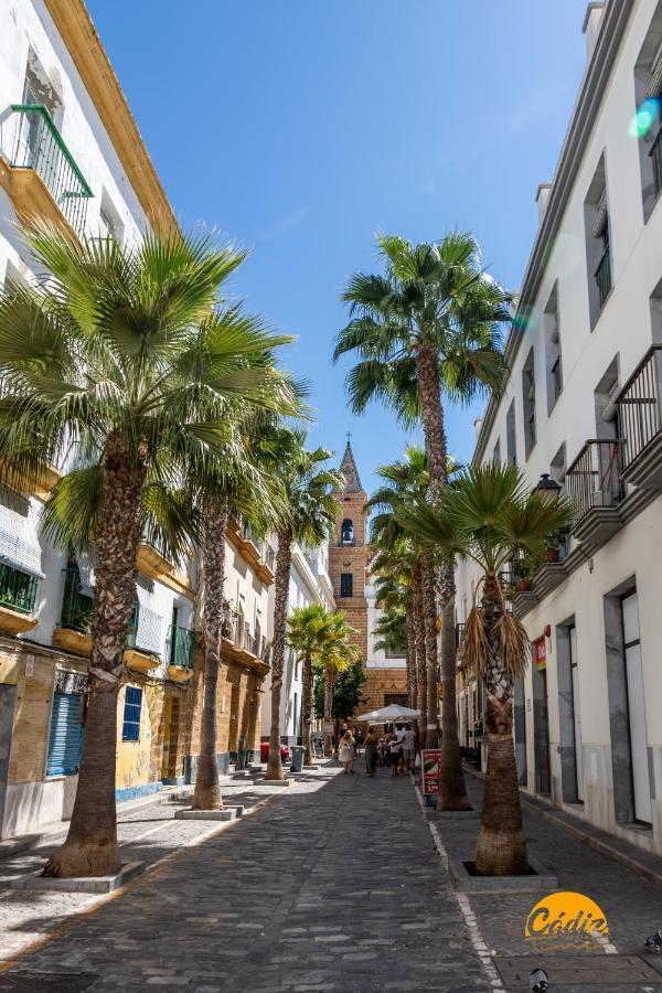 La Luz De La Vina - Free Parking By Time Apartment *